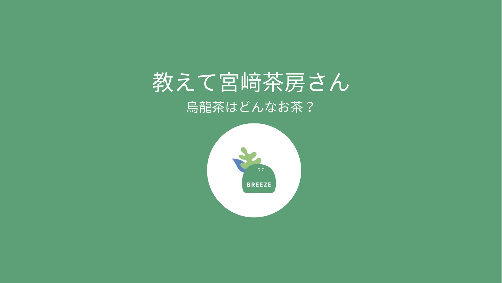 教えて宮﨑茶房さんvol.2:烏龍茶はどんな茶ですか?